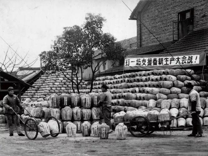 156年历史的老酒厂,窖藏37年的青梅酒,每一口都金